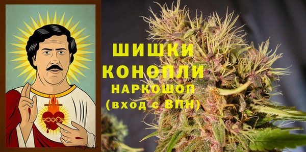 спиды Богородск