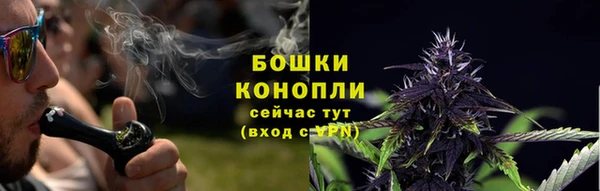 спиды Богородск