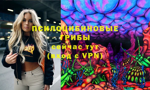 спиды Богородск