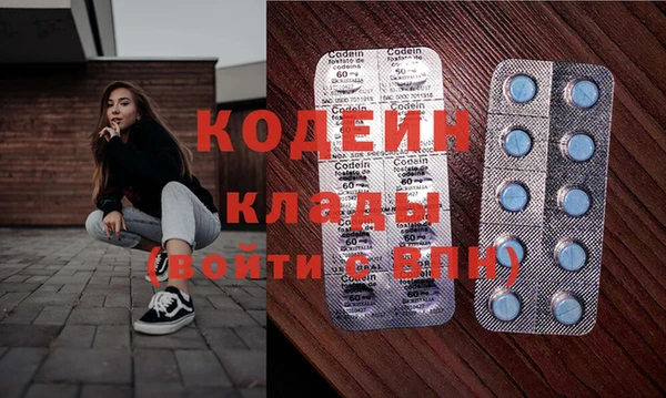 крисы Богородицк