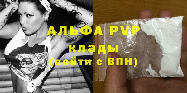 крисы Богородицк