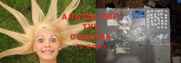 крисы Богородицк