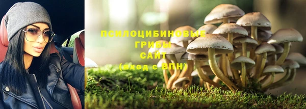 крисы Богородицк